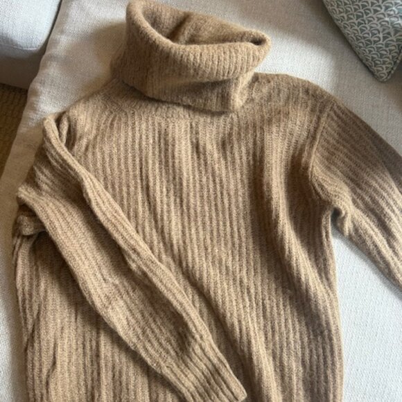 Everlane Alpaca Oversized Turtleneck Sweater (Size S) - Picture 4 of 7